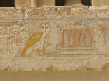 Hieroglyfejä Hatshepsutin temppelissä.